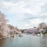 【2025年1月最新】吉祥寺で男女の出会いの場おすすめ10選｜バー、居酒屋、ナンパ、マッチングアプリを厳選紹介！サムネイル